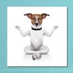 Toile Jack Russel Yoga