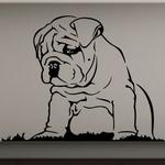 B�b� Bouledogue