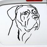 Cane Corso T�te