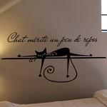Chat m�rite du repos