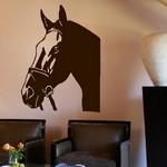 Cheval - T�te
