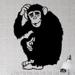 Chimpanz�