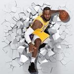 Lebron James 3D - Imprim�