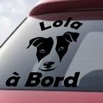 Lola � bord - Jack Russel