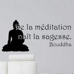 De la M�ditation na�t la Sagesse