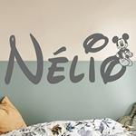 N�lio Mickey