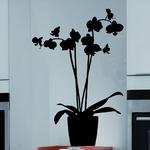 Orchid�e en pot