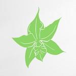 Orchid�e Sauvage