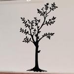 Petit arbre en �t�