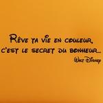 R�ve ta vie en couleur 2