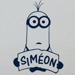 Sim�on Minion Kevin