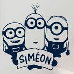 Sim�on Trio de Minions