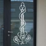 Vert�brale - Serpent