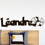 L�andre Dracaufeu Pokemon