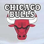 Chicago Bulls Logo Imprim�