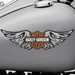 Harley Davidson Ailes imprim�
