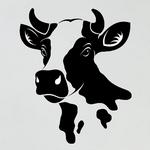 T�te de vache 02