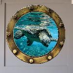 Tortue Hublot - Imprim�